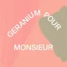 geranium_pour_monsieur_2_3RDYBboneH.webp