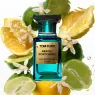 neroli_portofino_body_moisturizer_3_Lude8BIeoR.webp